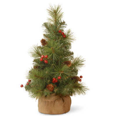 National Tree Company 18" Everyday Collection Miniature Pine Cone & Berry Tree In Burlap In Green