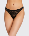 Cosabella Pret A Porter Lace Thong In Black