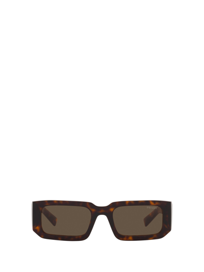Prada Pr 06ys Tortoise Male Sunglasses