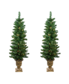 Northlight Set Of 2 Pre-lit Whitmire Pine Potted Artificial Christmas Trees 4' In Green