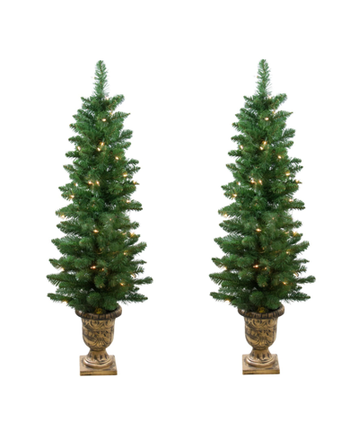 Northlight Set Of 2 Pre-lit Whitmire Pine Potted Artificial Christmas Trees 4' In Green