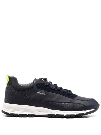 Geox Delray Low-top Sneakers In 黑色