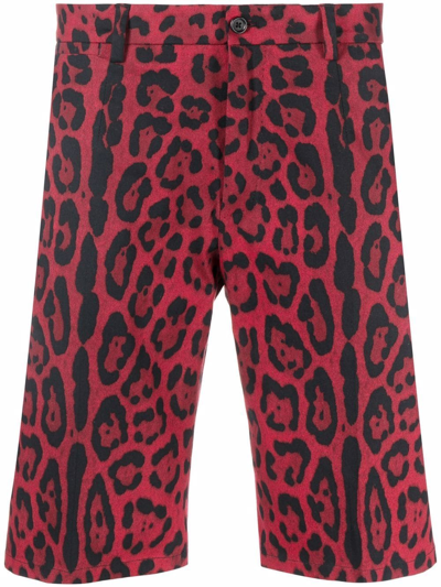 Dolce & Gabbana Mid-length Swim Trunks With Leopard Print In Multicolor