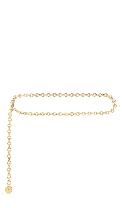 Epifene Riviera Chain Belt In Metallic Gold