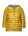 Herno Down Jackets In Ocher