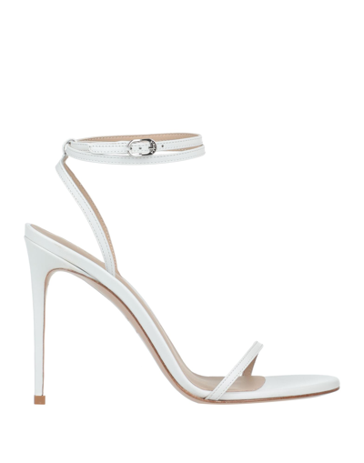 Le Silla Sandals In White