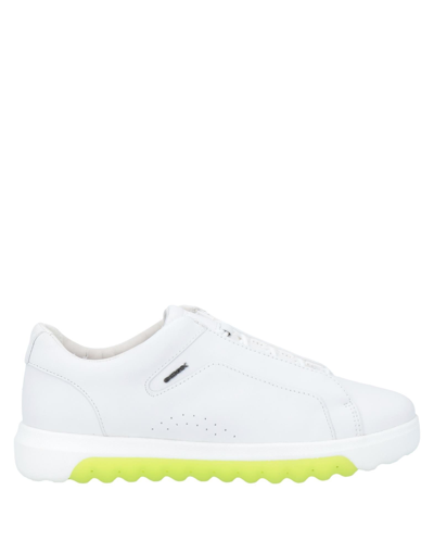 Geox Sneakers In White