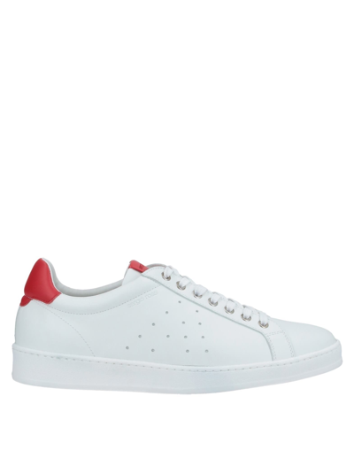 Sergio Rossi Sneakers In White