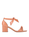 Salmon Pink