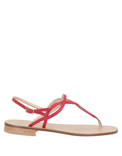 Paolo Ferrara Toe Strap Sandals In Red