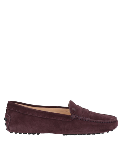 Tod's Loafers In Dark Purple