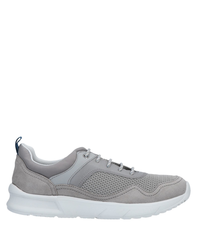 Geox Sneakers In Grey