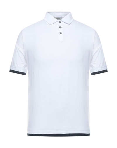 Alpha Studio Polo Shirts In White