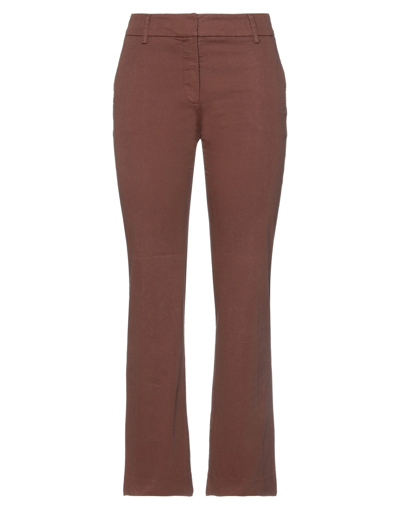 True Royal Pants In Brown