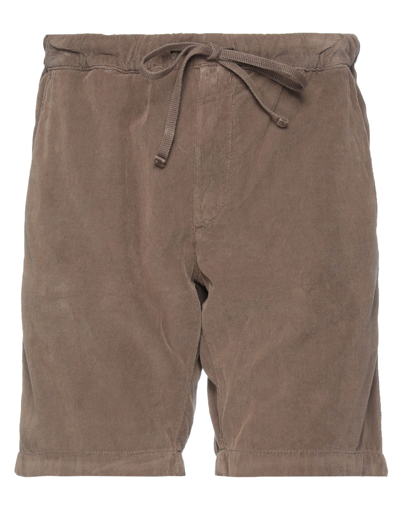 Modfitters Shorts & Bermuda Shorts In Khaki