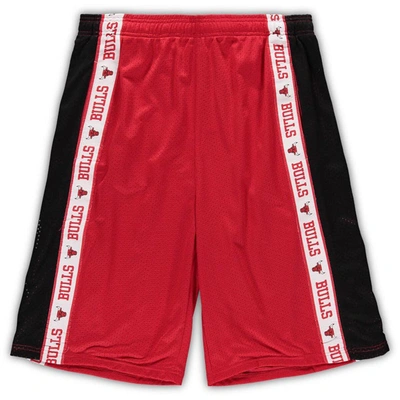 Fanatics Men's  Red And Black Chicago Bulls Big And Tall Tape Mesh Shorts In Red,black