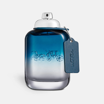 Coach Blue Eau De Toilette 100 ml In Multi