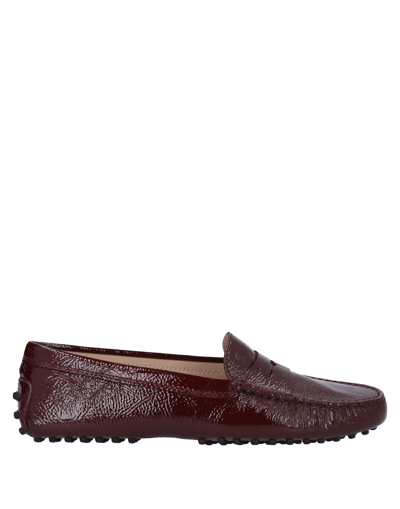 Tod's Loafers In Maroon