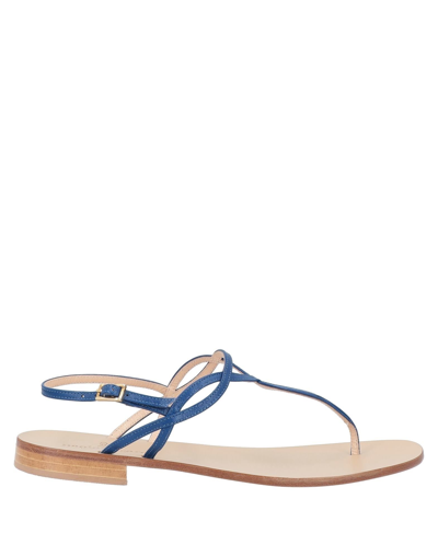 Paolo Ferrara Toe Strap Sandals In Blue