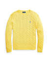 Polo Ralph Lauren Sweaters In Yellow