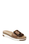 Sam Edelman Ariane Platform Slide Sandal In Brown