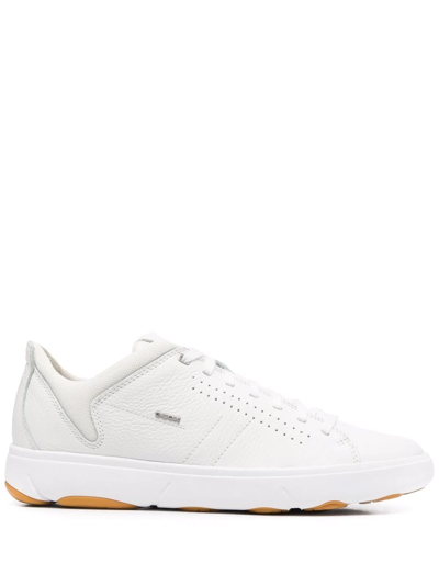 Geox Nebula Low-top Sneakers In White