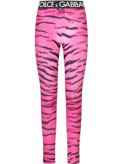 Dolce & Gabbana Cropped Zebra-pint Leggings In Rosa