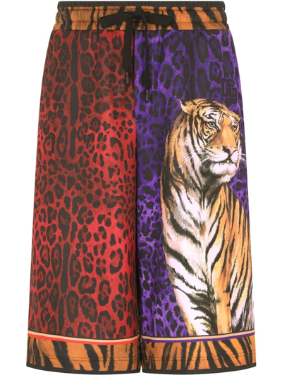 Dolce & Gabbana Drawstring Tiger-print Shorts In Multicolor