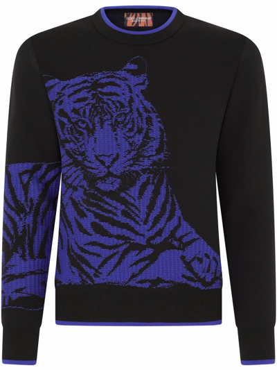 Dolce & Gabbana Tiger-print Jumper In Multicolor