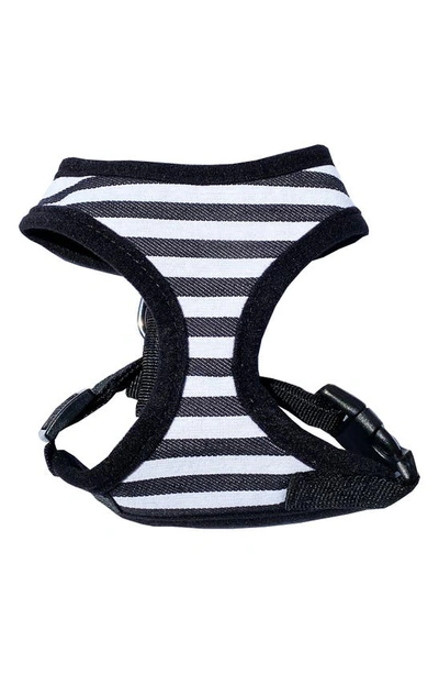 Dogs Of Glamour Ritz Harness Striped Black In Black/white