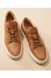 Greats Court Sneaker In White/ Tan/ Pana Leather