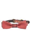 Dogs Of Glamour Harvey Luxury Bow Tie Collar In Red/ Multi