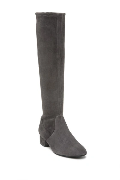 Stuart Weitzman Raissa Suede Tall Boot In Slate