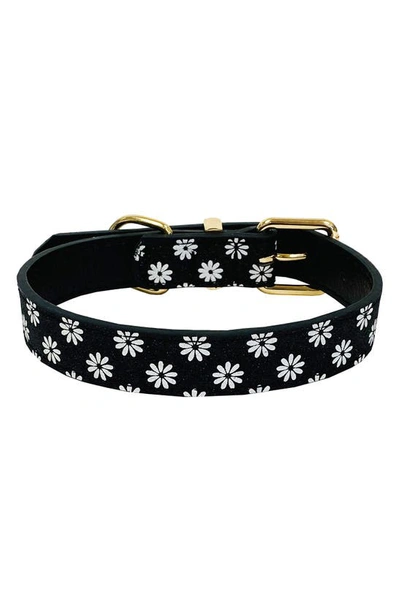 Dogs Of Glamour Luna Dog Collar In Black
