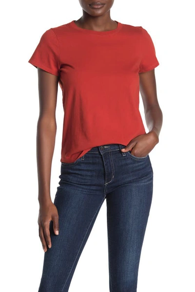 Madewell Vintage Crew Neck Cotton T-shirt In Etruscan Clay