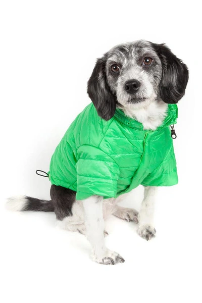 Petkit Large Green Sporty Avalanche Dog Coat