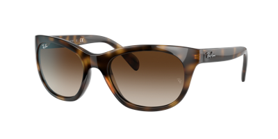 Ray Ban Ray In Brown Gradient Dark Brown