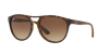 Ray Ban Ray In Brown Gradient Dark Brown