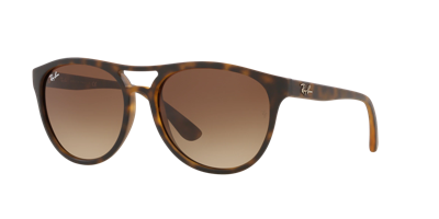 Ray Ban Ray In Brown Gradient Dark Brown