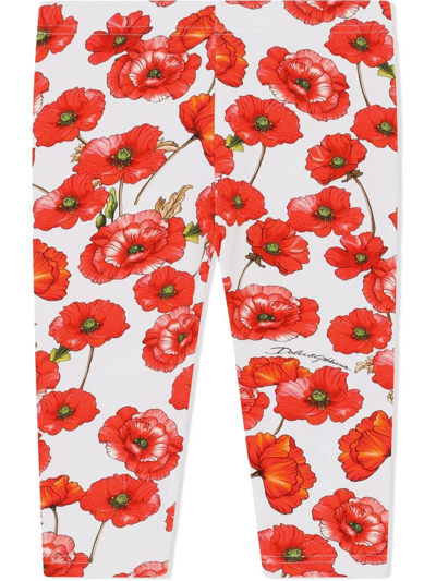 Dolce & Gabbana Babies' Poppy Print Leggings In White