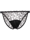 FLEUR OF ENGLAND KITTIE SEMI-SHEER BRIEF