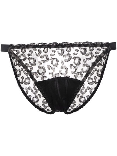 Fleur Of England Kittie Semi-sheer Brief In Black