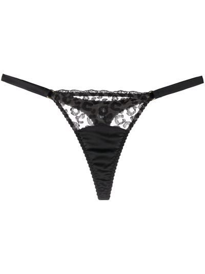 Fleur Of England Kittie Lace-panelled Thong In Black