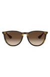 Ray Ban Erika Classic 57mm Sunglasses In Matte Havana