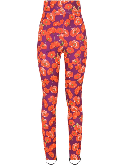 Dolce & Gabbana Floral-print Leggings In Violett