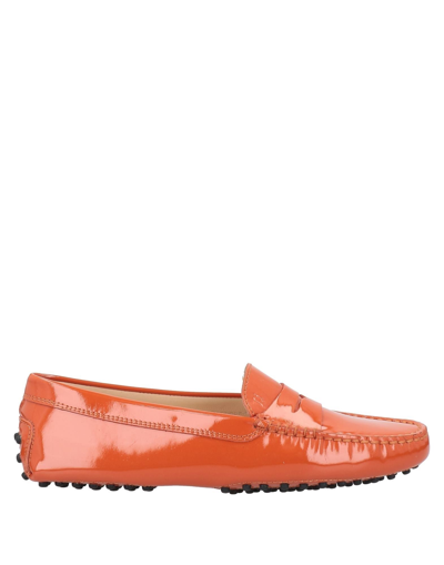 Tod's Loafers In Rust