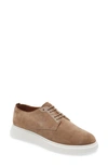 Hugo Suede Trainers With Branded Tape In Brown
