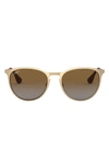 Ray Ban Ray-ban Erika 54mm Gradient Round Sunglasses In Matte Gold