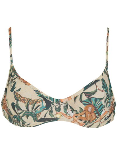 Lygia & Nanny Cassis Leaf-print Bikini Top In Neutrals