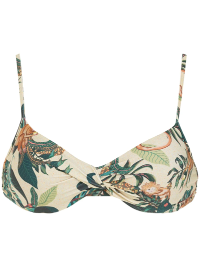 Lygia & Nanny Fiji Estampado Bikini Top In Green